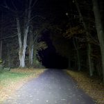 Die BC25 leuchtet auf den Baum