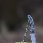 Pohl Force Mike One auf Baumstumpf
